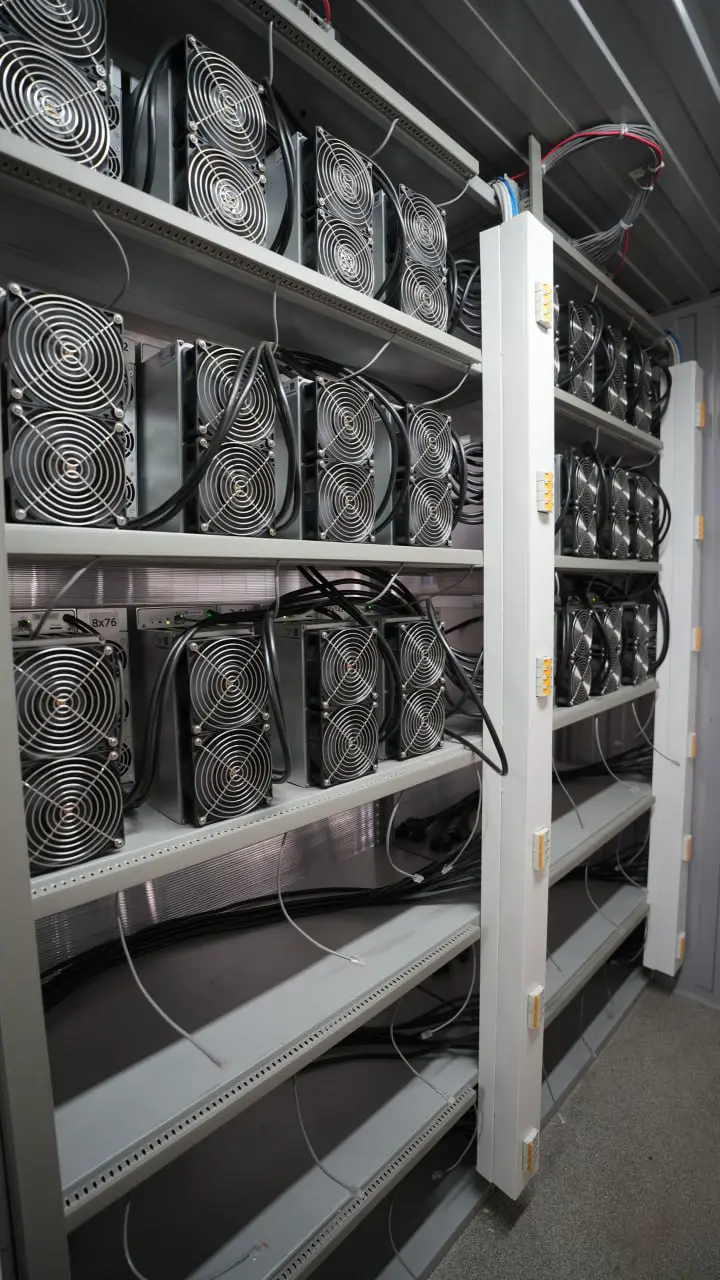 Стеллажи с ASIC